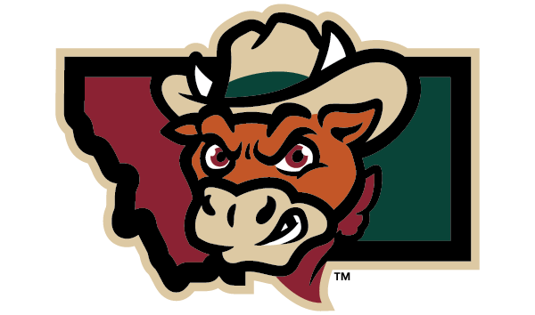 Cattle Punchers Hockey logo