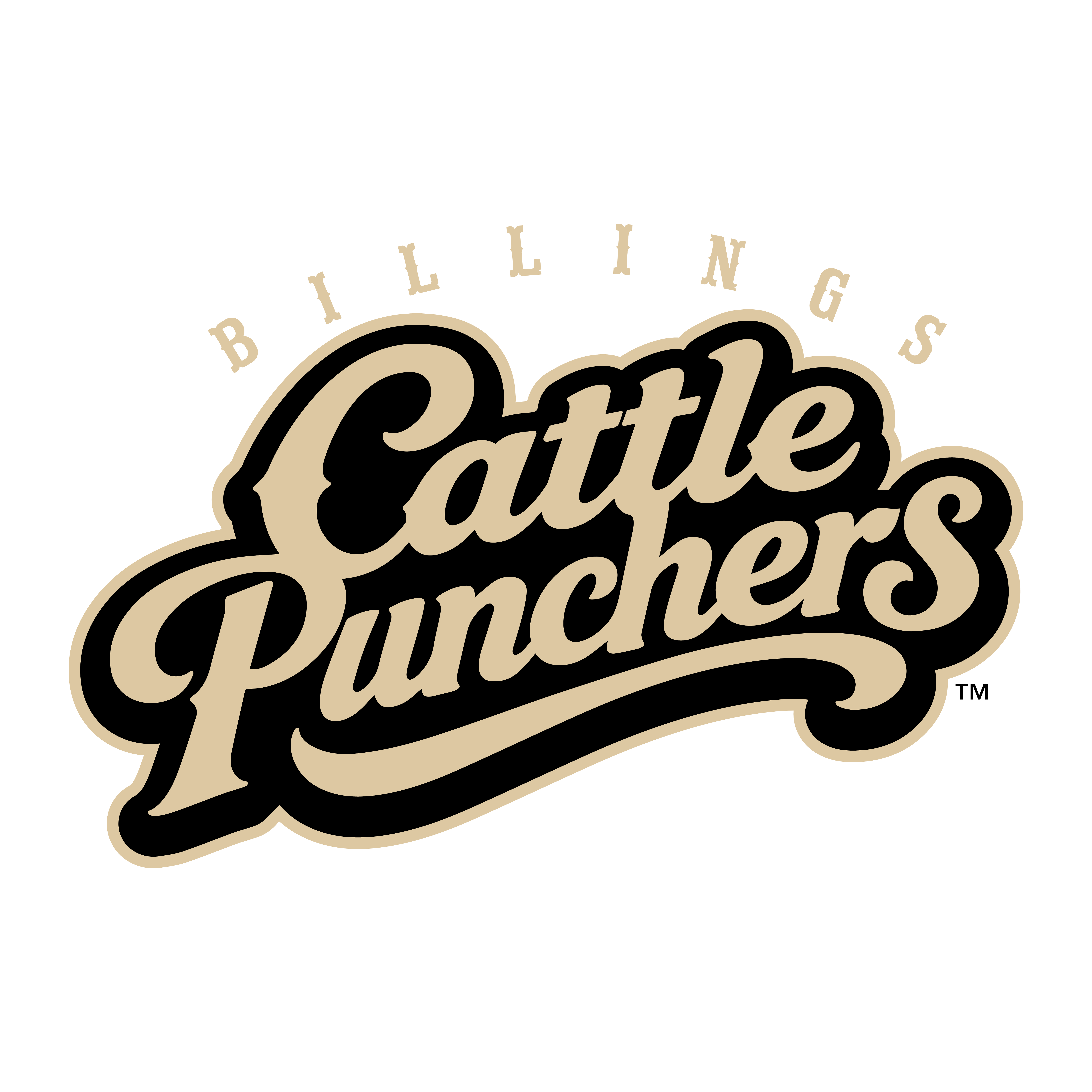 Cattle Punchers logos
